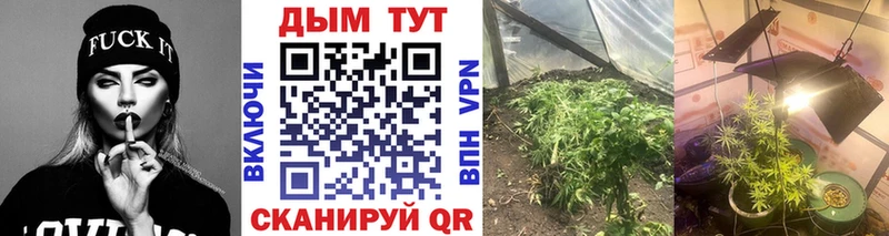 Бошки Шишки ГИДРОПОН  Мирный 